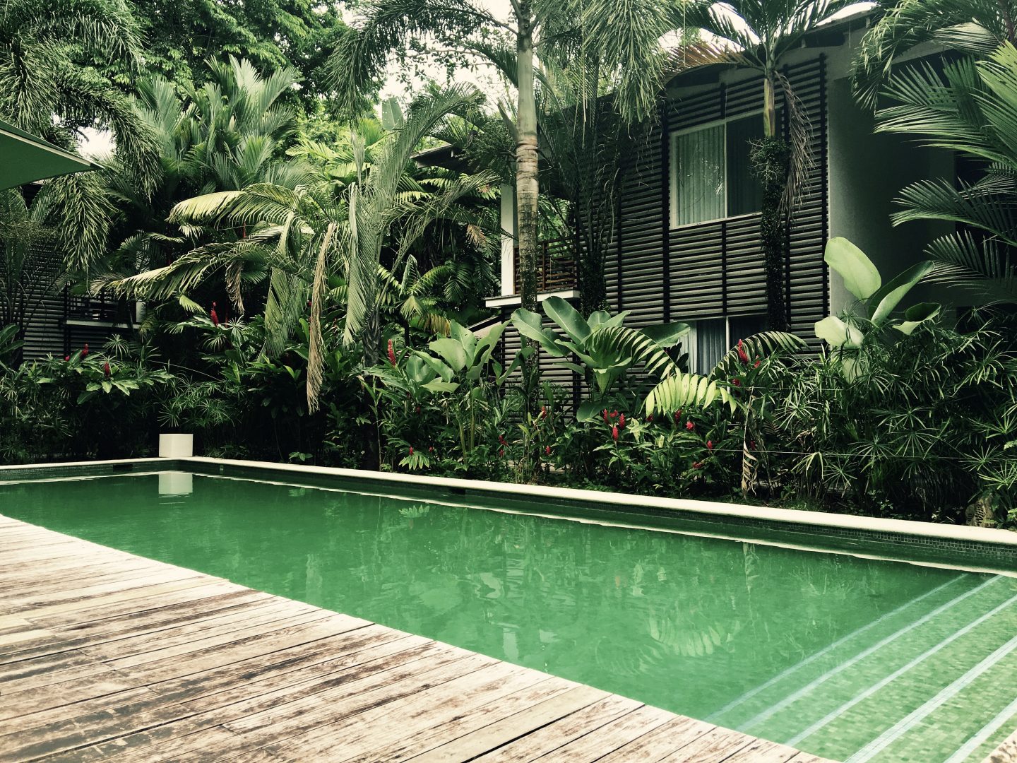 Hotel Cameleon Costa Rica Piscine