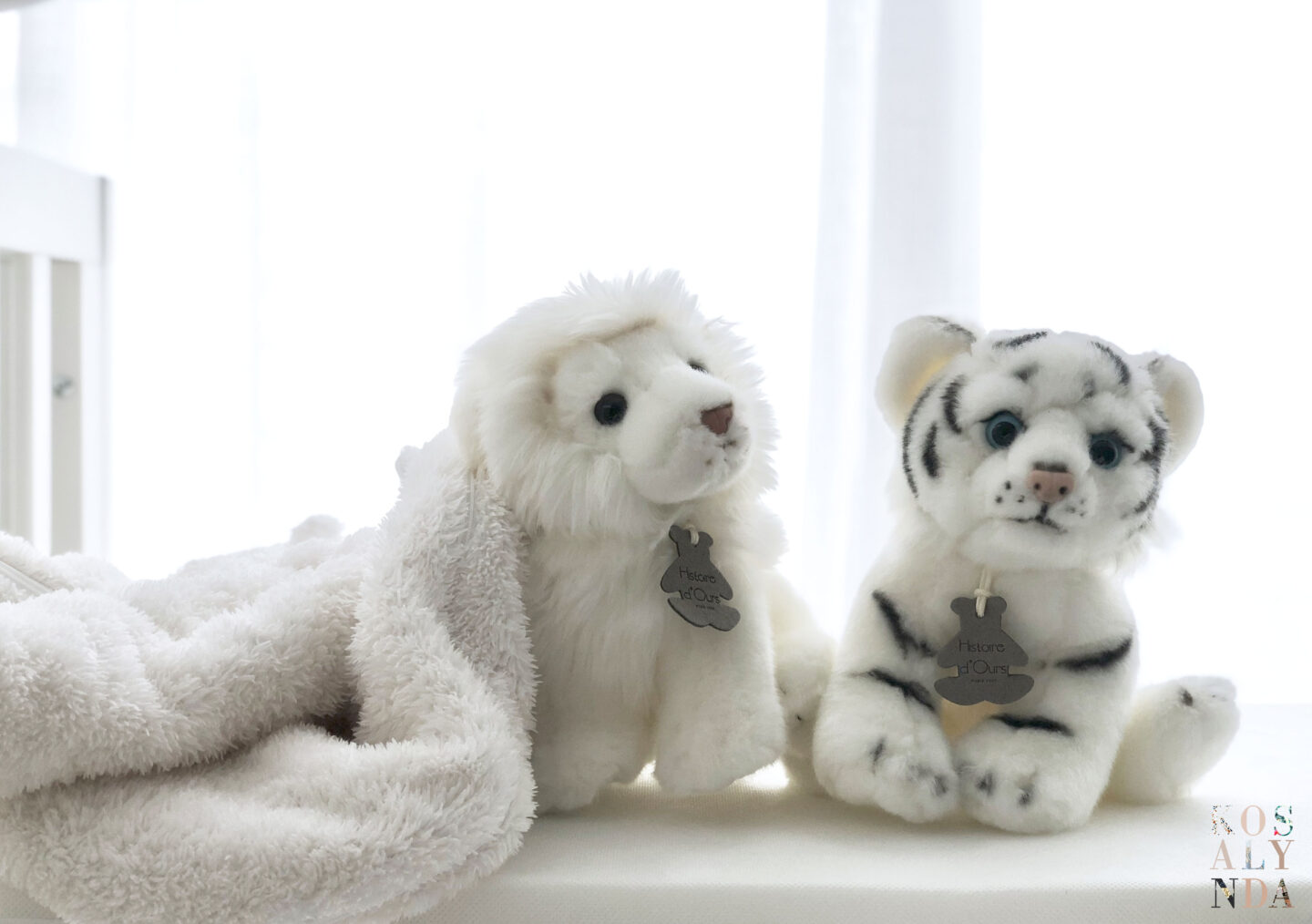 Peluches Histoire d'ours tigre et lion animaux sauvages